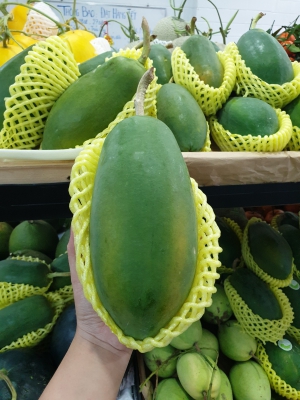 Đu Đủ Ruột Đỏ - Kiều Farm